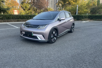 比亚迪 海豚 2021款 401km 骑士版