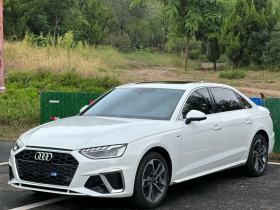 奥迪A4L 2024款 40 TFSI 时尚动感型