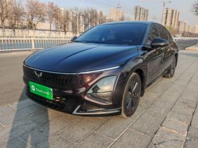 五菱汽车 五菱星光 2023款 70 标准版