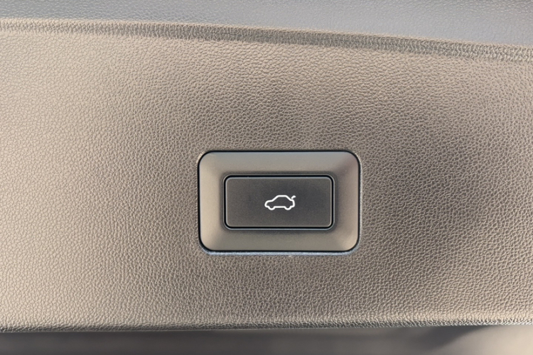 奇瑞 瑞虎8 L 2024款 2.0T 两驱尊贵版 5座局部细节9002