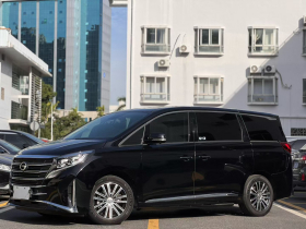 广汽传祺 传祺M8 2021款 领秀系列 390T 尊贵版