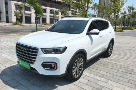 哈弗H6 2020款 1.5GDIT 自动铂金冠军版