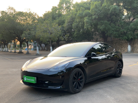 特斯拉 Model 3 2022款 后轮驱动版