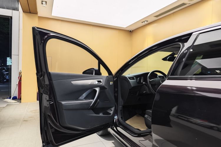 DS 5LS 2016款 1.6T 豪华版THP160车身外观6015