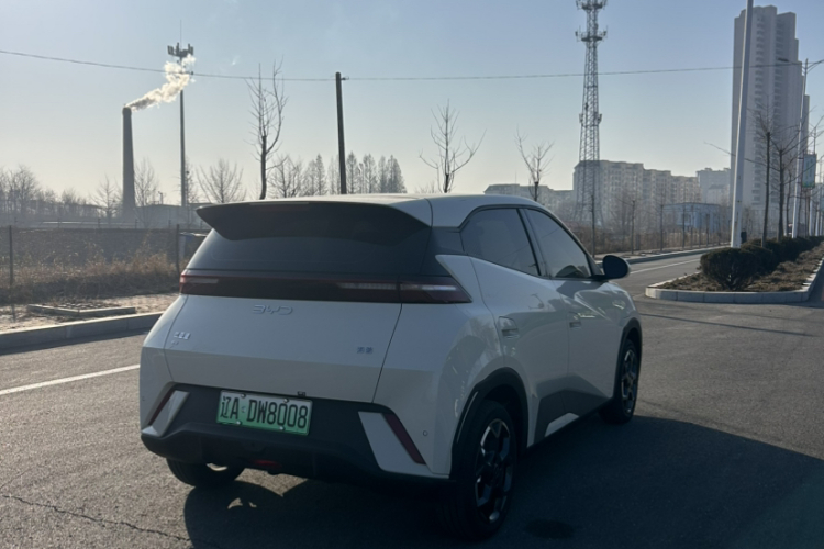 比亚迪 海鸥 2025款 305km 自由版车身外观6004