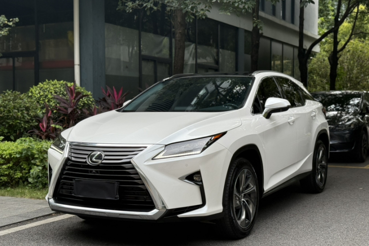 雷克萨斯RX 2016款 300 四驱典雅版 国V车身外观6005