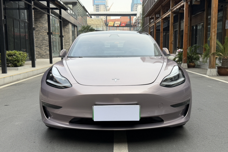 特斯拉 Model 3(进口) 2019款 长续航后驱版车身外观6005