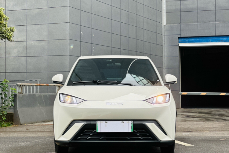 比亚迪 海鸥 2024款 荣耀版 305km 活力版车身外观6001