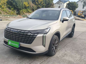 哈弗H6 2024款 1.5T 两驱Pro