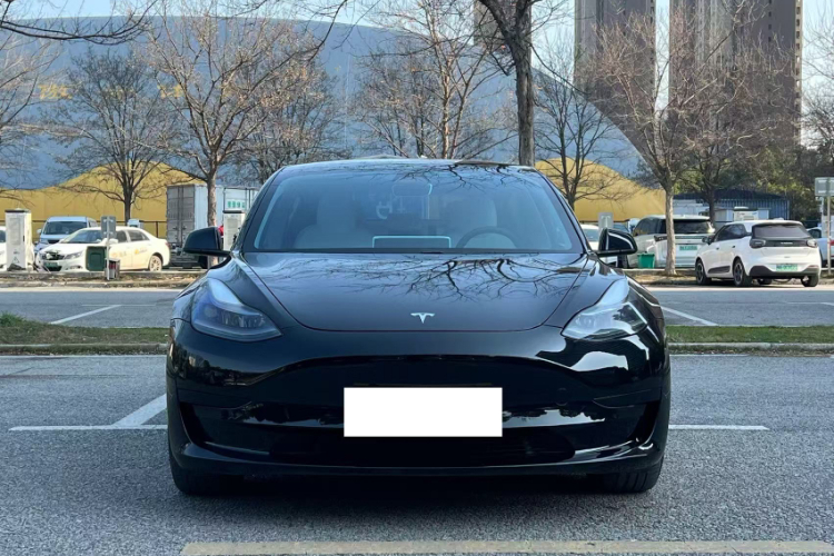 特斯拉 Model 3 2021款 标准续航后驱升级版车身外观6004