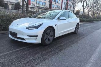 特斯拉 Model 3(进口) 2019款 长续航全轮驱动版