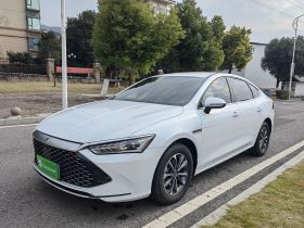 比亚迪 秦PLUS 2023款 冠军版 DM-i 55KM领先型