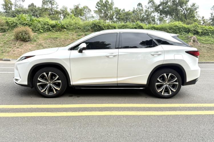 雷克萨斯RX 2020款 300 四驱典雅版 国VI车身外观6003