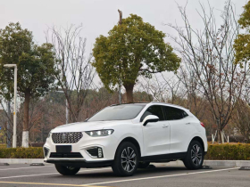 魏牌 VV5 2021款 1.5T 两驱智先锋