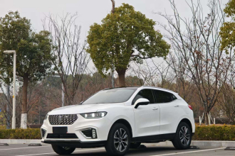 魏牌 VV5 2021款 1.5T 两驱智先锋