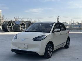 五菱汽车 五菱缤果 2025款 333km 悦享款