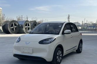 五菱汽车 五菱缤果 2025款 333km 悦享款