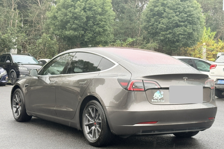 特斯拉 Model 3(进口) 2019款 长续航后驱版车身外观6003