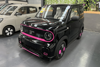 吉利银河 2025款 210km 熊猫卡丁