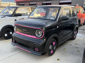 吉利银河 2025款 210km 熊猫卡丁