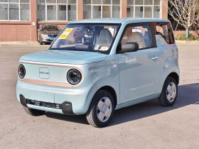 吉利银河 2024款 熊猫mini 200km 耐力熊