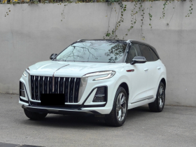 红旗HS3 2023款 2.0T 四驱有为版