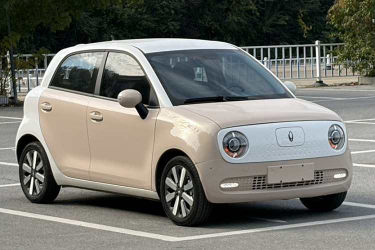 欧拉黑猫 2022款 351km 标准型 三元锂车身外观6007