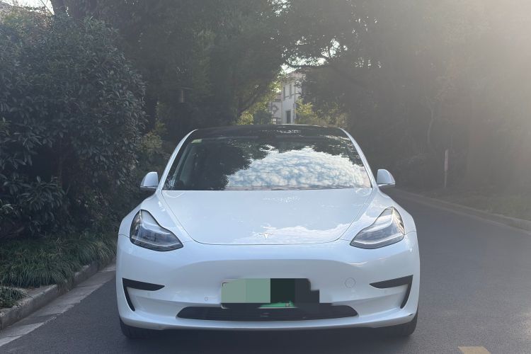 特斯拉 Model 3 2020款 改款 标准续航后驱升级版局部细节9004