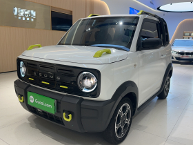 吉利银河 2024款 200km 熊猫骑士