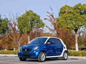 smart forfour 2018款 1.0L 52千瓦灵动版