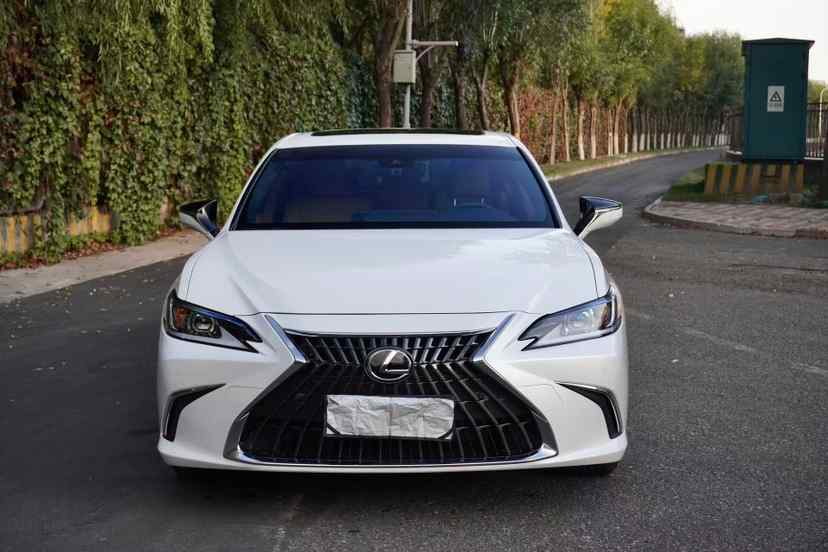 雷克萨斯ES 2023款 200 卓越版(3)