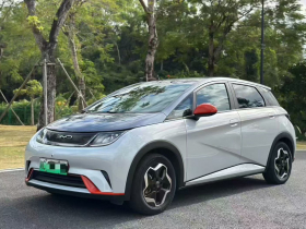 比亚迪 海豚 2021款 405km 自由版