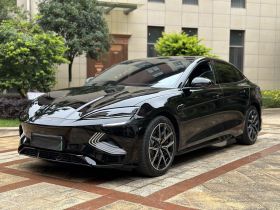 比亚迪 海豹 2023款 冠军版 650km 四驱性能版