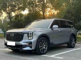 广汽传祺 传祺GS8 2022款 领航系列 2.0TGDI 四驱豪华智联版（七座）