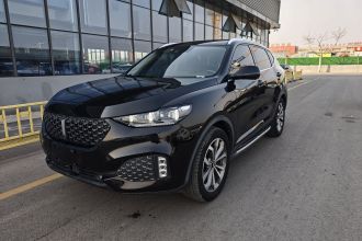 魏牌 VV6 2020款 2.0T 两驱智享+