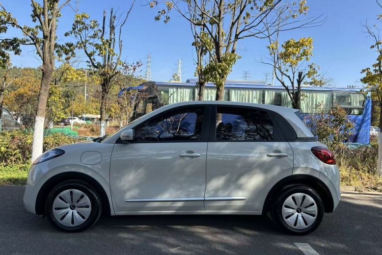 五菱汽车 五菱缤果 2023款 333km 快享款车身外观6010