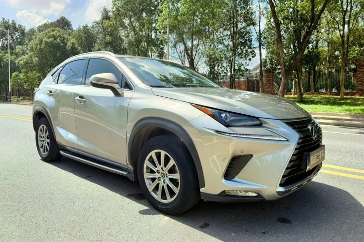 雷克萨斯NX 2020款 200 前驱 锋行版 国VI车身外观6001