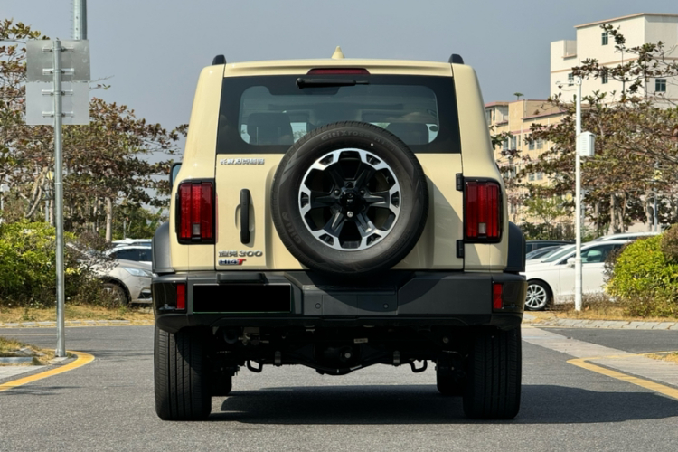 坦克300新能源 2024款 Hi4-T车身外观6004