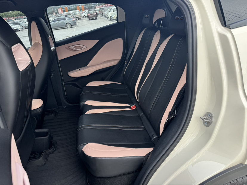 比亚迪 海鸥 2023款 飞翔版