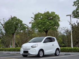 荣威 科莱威CLEVER 2022款 311km元气啵啵版