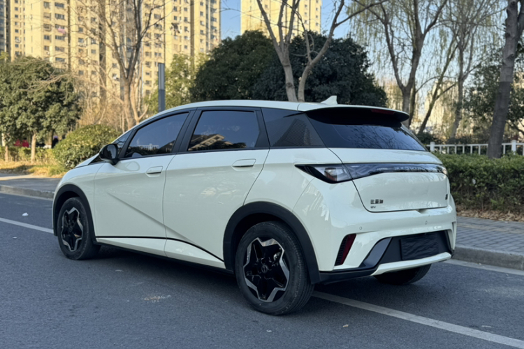 比亚迪 海豚 2021款 405km 时尚版车身外观6003