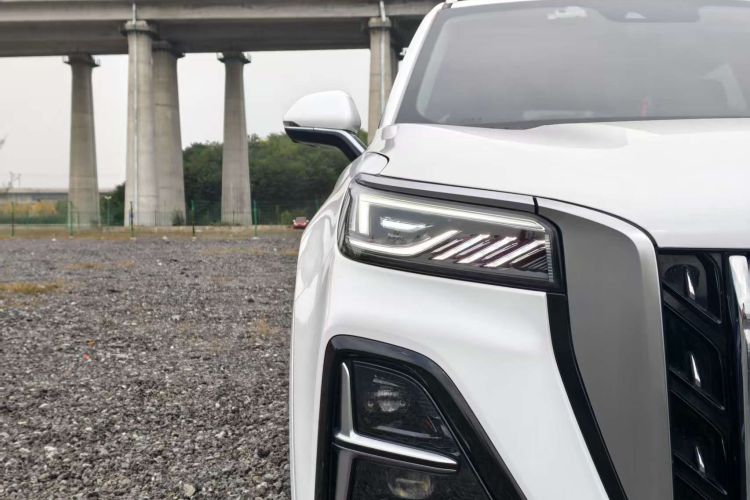 红旗HS5 2023款 2.0T 四驱旗享Pro版车身外观6007