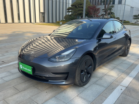 特斯拉 Model 3 2021款 标准续航后驱升级版