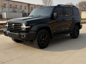 坦克300 2024款 2.0T 挑战者