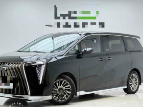 广汽传祺 传祺M8 2023款 宗师系列 400T 至尊版