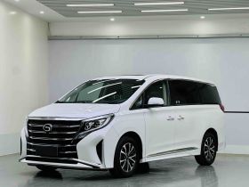 广汽传祺 传祺M8 2024款 领秀系列 390T 尊享版