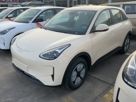 吉利银河 星愿 2026款 310km 青春版