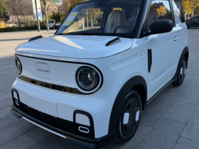 吉利银河 2025款 210km 熊猫卡丁