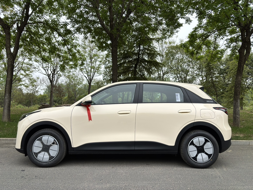 吉利汽车 星愿 2025款 410km 自由版