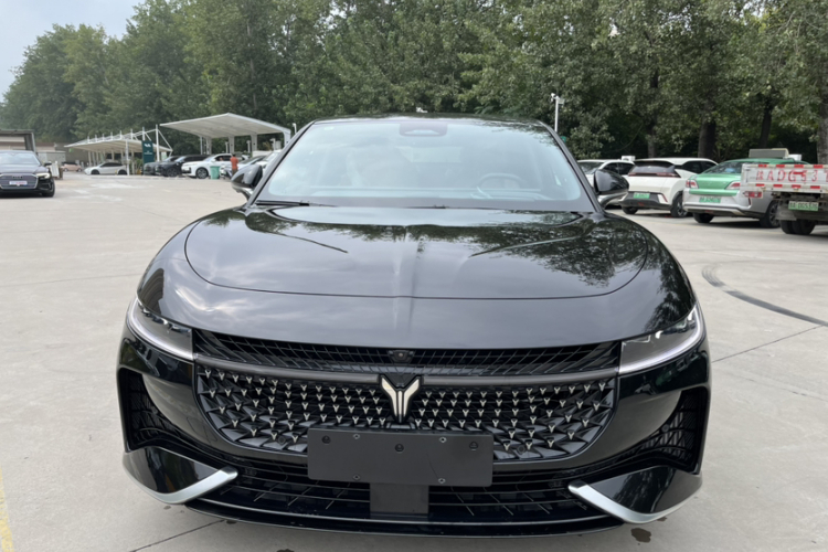 岚图汽车 岚图追光 2024款 PHEV 四驱超长续航旗舰版车身外观6010